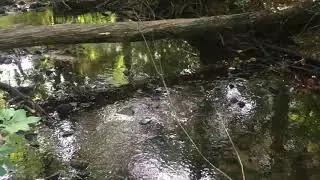 Indian Head Brook at Webster-Billings Conservation Area