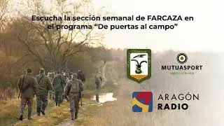 Nicolás Urbani, director técnico de la Federación, en 