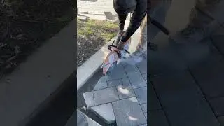 Cortando pavers para installation de borde #shorts