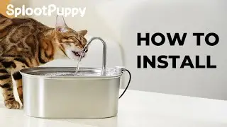 HOW TO INSTALL- Stainless Steel Faucet Shape Cat Water Fountain(S2)