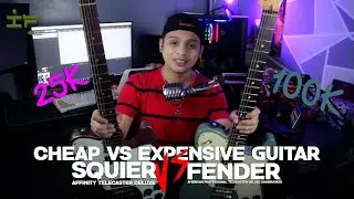 100K VS 25K? | FENDER AMERICAN PRO TELECASTER DELUXE SHAWBUCKER VS SQUIER AFFINITY TELECASTER DELUXE