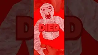 Игрок в Gorilla Tag инсценировал свою смерть 😵