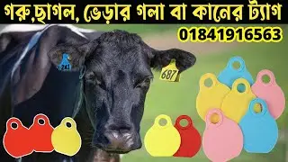 cow tag price in Bangladesh ||  গরু,ছাগল ও ভেড়ার গলার টেগ দাম