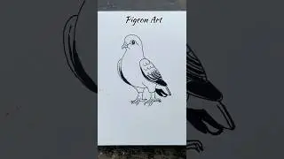 Easy Drawing For Kids Pigeon #easydrawing #kidsdrawing #kids #kidsart #art4kids #drawingforkids
