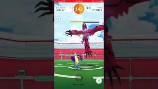 Yveltal Duo