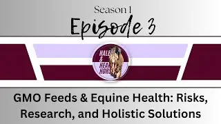 GMO Feeds & Equine Health: Risks, Research, and Holistic Solutions