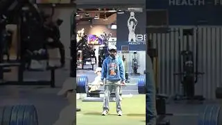 ELITE Powerlifter ANATOLY Pretends to be Beginner Noob in GYM #anatoly #fitness #gym