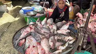An Incredible of Cambodian Food Market - Fresh Vegetables, Cheap Breakfast, Snacks @Khmer Food Tour 