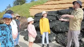Adventure #3: Coastal Scientist  |  Little Legends Passport Adventure Series