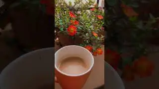 Just me and my coffee #love #coffee #india #natureflowers #naturephotography #trending #viral #view
