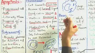21.7 APOPTOSIS and NECROSIS. // F. Sc PART-II // Dr. Ahmad Moneeb