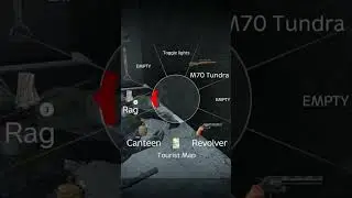 Wyd if this happens to you mid BASE RAID on DayZ😱.. #shorts #dayz