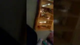 Uistimien esittely video