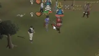 Quick Awake Mini Video Osrs - Time for a change! NH Brid Pure