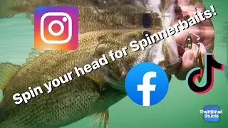 How to Fish a Spinnerbait (Catch more fish than ever)