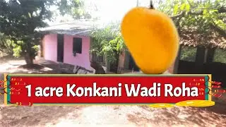 ID 147/118 The 1 acre konkani Wadi sale at Roha Raigad रोहा येथे १ एकर कोंकणी वाडी विकणे 9371129848