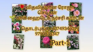 🌹 Lot of Rose Collection Available | Sai Hi-Tech Nursery Garden | Part 1