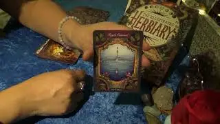 Herbiary Oracle Cards - First Impression and Full Flip Through of Each Card