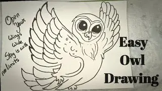 owl drawing / draw owl