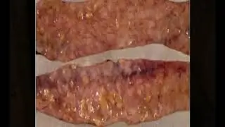 RUFORUM VIDEO