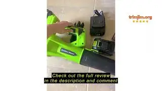 Review laapee Leaf Blower Cordless,Electric Leaf Blower with 2 4.0Ah Battery Powered and Fast Charge