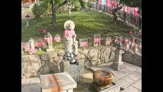 Not a small city, it has 360,000 people #nara #Japan