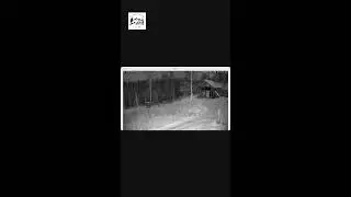 Live Now Cam From Curmudge Inn Chase Alaska