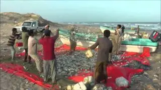 Oman part 1