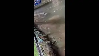 中国旅行直播 China Travel Live Streaming