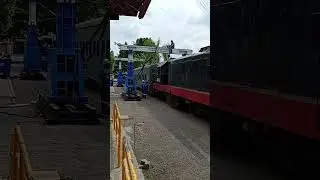 Amigos do trem
