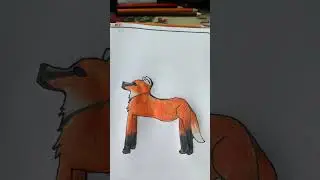 Drawing a fox!