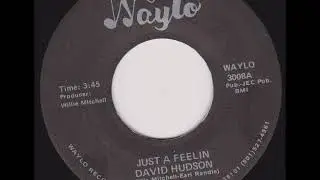 Just a feelin david Hudson