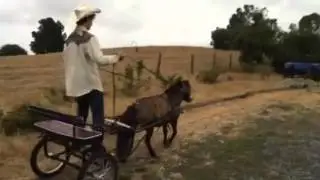 How to ride a rigshaw