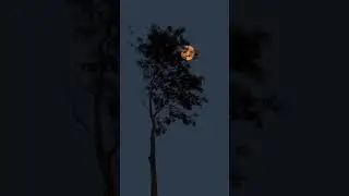 Night Vibe🖤🌜WhatsApp Status | Feel The Vibe | #nightvibes | #feel