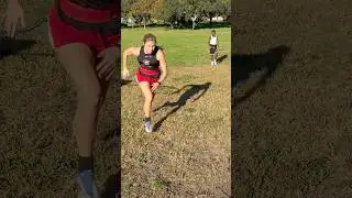 Pro Builder Fitness Inc Personal Training Athletic Training St Pete Tampa Clearwater Bradenton FL
