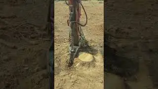 the process of removing tree roots using heavy equipment #roots #popular #viralshorts #shorts