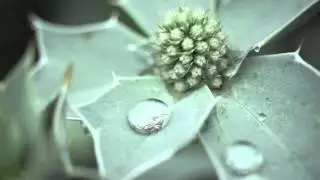 Nature Alert. Powiedz TAK dla Natury.