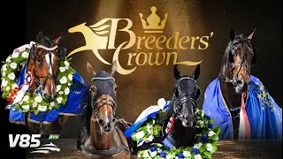 Swedish Breeders' Crown 2025 Final fillies 3-year