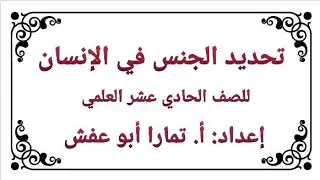 تحديد الجنس في الإنسان