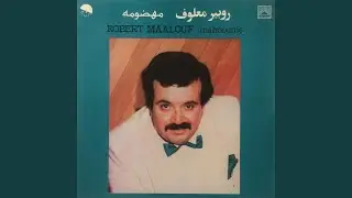 Ana Wil Leyl (Instrumental)