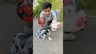 Egg Wala Chicken and Remote Control Cow unboxing🔥