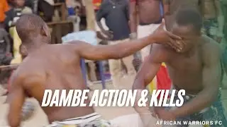 Dambe Combat Action & Kills| African Warriors Fighting Championship Dambe Boxing