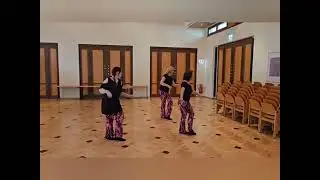 Pussycat's Fever