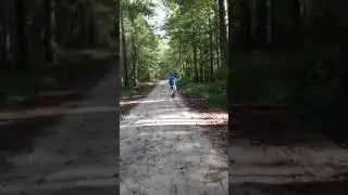 Biking the Pocomoke Forest
