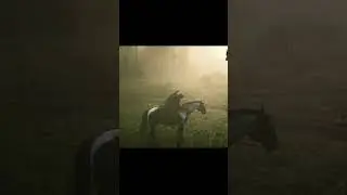 Easiest way to loot saddle bags without getting kicked - RDR2#rdr2 #rdr2online #reddeadredemption2
