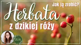 Herbata z dzikiej róży - żródło jesiennego zdrowia - przepis na pyszny napar.