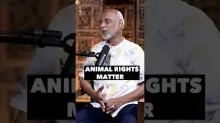 Animal Rights Matter #Voiceless #animals #kctalks