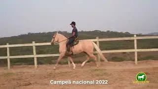 LUA NEGRA FOMINHA