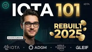 Abu Dhabi Gave IOTA $100M To Rebuild #IOTA #MIOTA