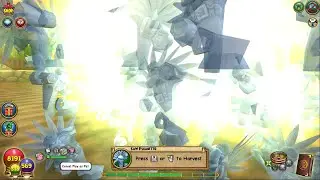 Wizard101 Saw Palmetto Elder Harvest